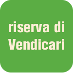 riserva vendicari icon